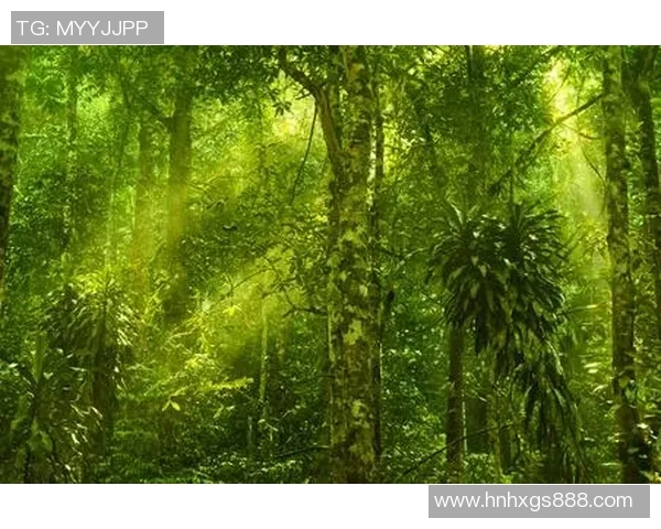 约维尔与绿色森林的激烈对决揭示足球战术与团队合作的完美结合