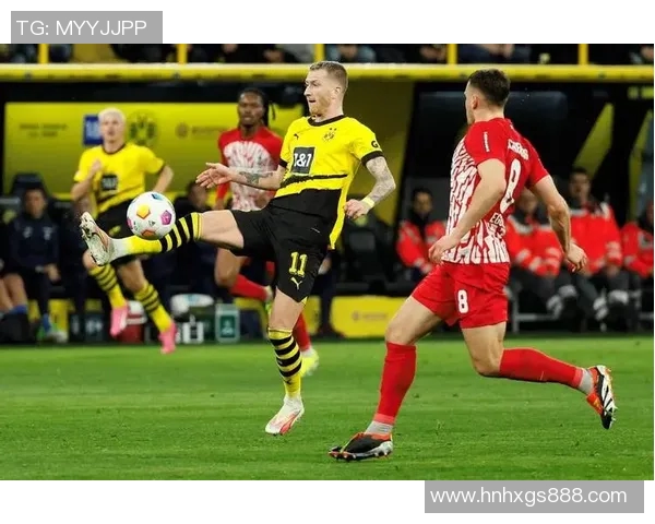 法超多特蒙德与拜仁的巅峰对决谁能笑到最后解析比赛看点与历史交锋